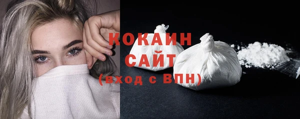 винт Абаза