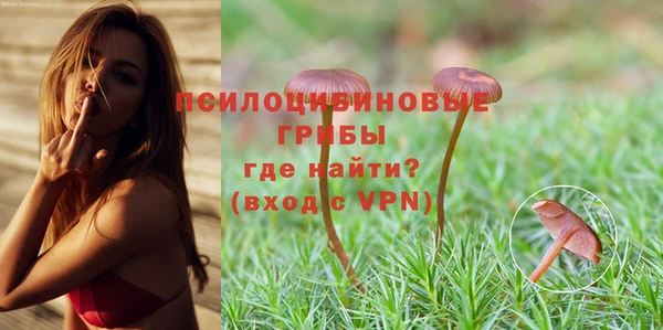 дживик Нефтекумск