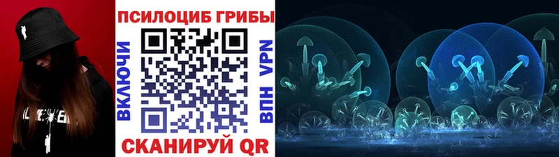 Псилоцибиновые грибы MAGIC MUSHROOMS  Щёкино 